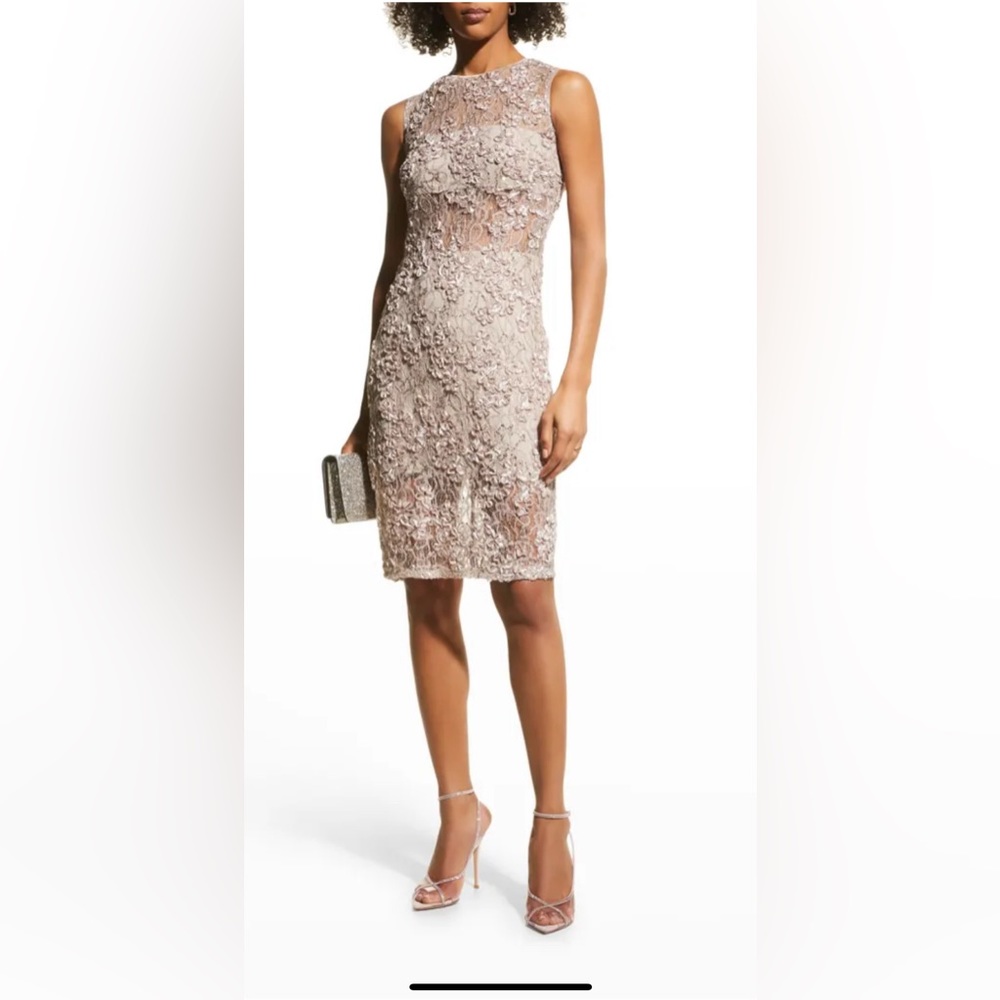 Sho Sequin & Ribbon Lace Illusion Dress